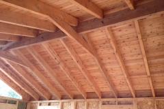 Timbers-frame2